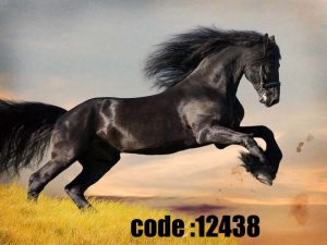 پوستر دیواری طرح پرش باشکوه اسب مشکی