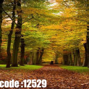 پوستر دیواری طرح مسیر جنگلی پاییزی