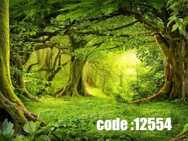 پوستر دیواری جنگل سبز و رویایی