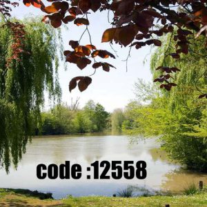 پوستر دیواری منظره دریاچه و بید مجنون