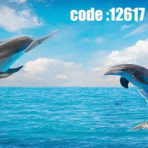 پوستر دیواری طرح دلفین و اقیانوس