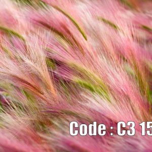 پوستر دیواری گندم‌زار صورتی با بافت مخملی