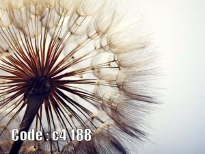 پوستر دیواری سه‌بعدی قاصدک مینیمال | لطافت طبیعت با جلوه‌ای آرامش‌بخش