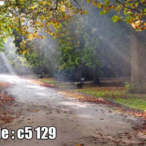 پوستر دیواری سه‌بعدی پارک پاییزی با نور خورشید