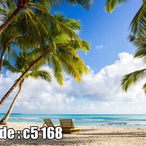 پوستر دیواری سه‌بعدی ساحل استوایی با نخل‌های سبز و دریای آبی