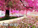 پوستر دیواری باغ شکوفه‌های صورتی | آرامش بهاری در مسیر رؤیا