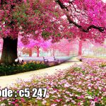 پوستر دیواری باغ شکوفه‌های صورتی | آرامش بهاری در مسیر رؤیا