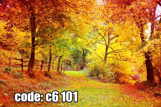 پوستر دیواری منظره جنگل پاییزی با مسیر سبز و درختان طلایی