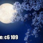 پوستر دیواری ماه کامل و شکوفه‌های شبانه با حس آرامش