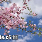 پوستر دیواری شکوفه‌های صورتی بهاری در آسمان آبی (طرح لطیف و آرامش‌بخش)