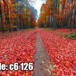پوستر دیواری جنگل پاییزی | مسیر آرامش میان برگ‌های سرخ