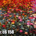 پوستر دیواری برگ‌های پاییزی روی آب | هارمونی رنگ، آرامش و طبیعت زنده