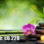 پوستر دیواری اسپا و آرامش | بامبو سبز، ارکیده و شمع