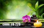 پوستر دیواری اسپا و آرامش | بامبو سبز، ارکیده و شمع