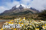 پوستر دیواری منظره کوهستان و گل‌های بابونه | آرامش ناب طبیعت