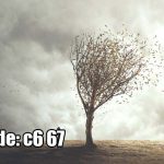 پوستر دیواری درخت تنها در باد | روایت سکوت، طبیعت و رهایی
