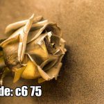 پوستر دیواری رز طلایی | جلوه‌ای لوکس و درخشان برای دکور مدرن