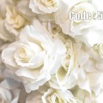 پوستر دیواری رز سفید