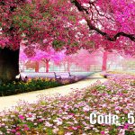 پوستر دیواری شکوفه صورتی