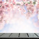 پوستر دیواری شکوفه‌های صورتی بهاری