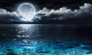 پوستر دیواری شب تاب