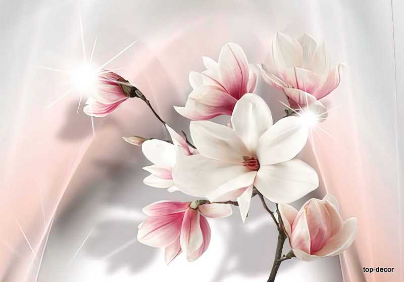 پوستر دیواری سه بعدی طرح مگنولیا