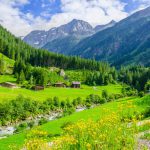 پوستر دیواری منظره کوهستان سبز و ویلاهای جنگلی