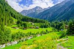 پوستر دیواری منظره کوهستان سبز و ویلاهای جنگلی