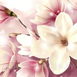 پوستر دیواری سه‌بعدی گل ماگنولیا صورتی و کرم