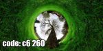 پوستر دیواری تونل سبز طبیعت | نمای کروی درخت و چمن