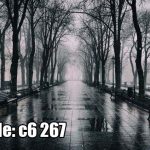 پوستر دیواری منظره بارانی پاییزی | خیابان درختی مه‌آلود