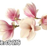 پوستر دیواری طرح شاخه گل مگنولیا صورتی مینیمال