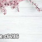 پوستر دیواری شکوفه‌های صورتی مینیمال | طرح گل بهاری لطیف و آرامش‌بخش