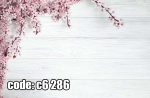 پوستر دیواری شکوفه‌های صورتی مینیمال | طرح گل بهاری لطیف و آرامش‌بخش