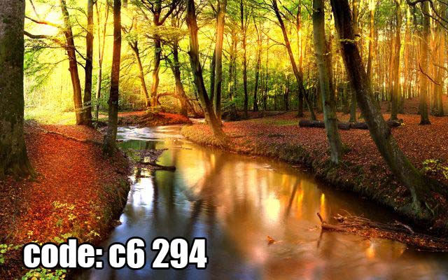 پوستر دیواری جنگل پاییزی و رودخانه آرام | منظره طبیعت با نور طلایی