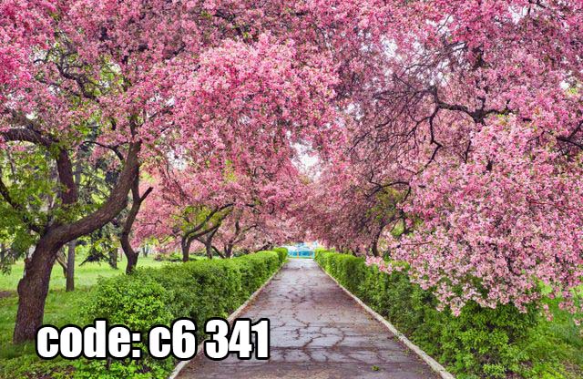 پوستر دیواری مسیر شکوفه‌های صورتی | تونل بهاری درختان گلدار
