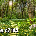 پوستر دیواری سه‌بعدی مسیر رویایی جنگلی با گل‌های بهاری و نور خورشید
