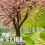 پوستر دیواری سه‌بعدی منظره بهاری با درختان شکوفه‌دار و مسیر سبز
