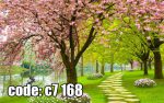 پوستر دیواری سه‌بعدی منظره بهاری با درختان شکوفه‌دار و مسیر سبز