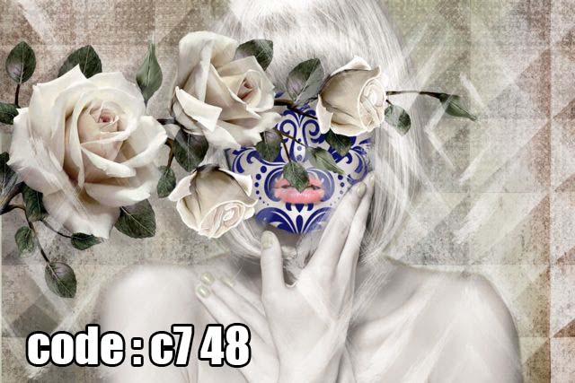 c7__48_ پوستر دیواری سهبعدی چهره زن و گلهای رز سفید | طرح هنری مفهومی