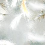 پوستر دیواری سه‌بعدی پرهای طلایی شناور