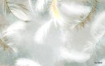 پوستر دیواری سه‌بعدی پرهای طلایی شناور