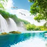 پوستر دیواری آبشار و دریاچه آرام با قوهای سفید | منظره طبیعت رویایی