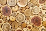 پوستر دیواری سه‌بعدی برش تنه درخت