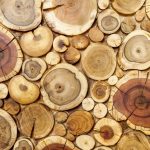 پوستر دیواری سه‌بعدی برش تنه درخت
