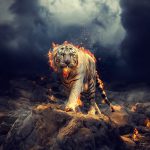 پوستر دیواری ببر آتشین