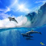 پوستر دیواری سه بعدی دلفین