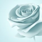 پوستر دیواری سه بعدی گل رز سفید