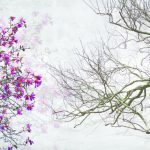 پوستر دیواری سه بعدی طرح درخت فصلی