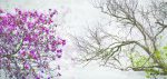 پوستر دیواری سه بعدی طرح درخت فصلی